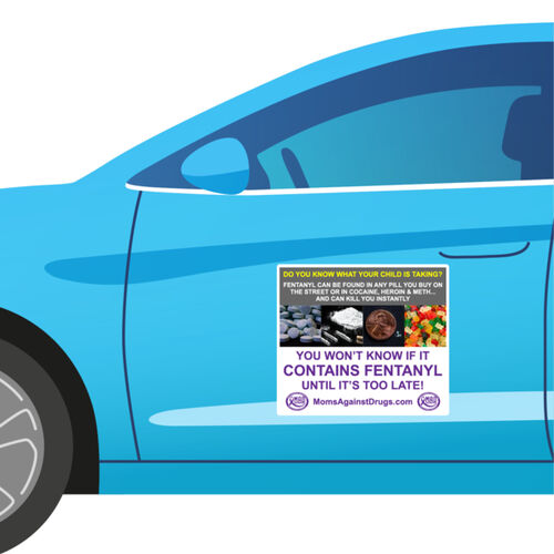 Do You Know? Car Magnets Set of Two Thumbnail